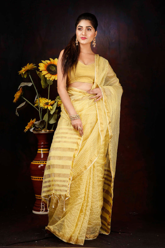 SILK ZARI BORDER SAREE